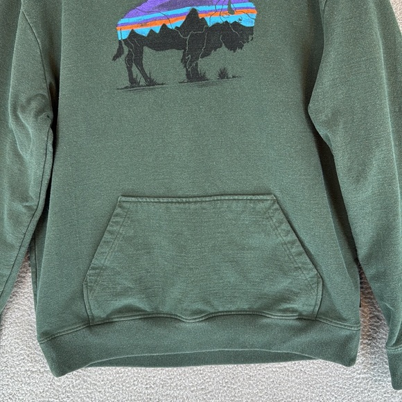 Patagonia Buffalo graphic Men's Large Green long sleeve Hoodie kangaroo pocket - Picture 4 of 13